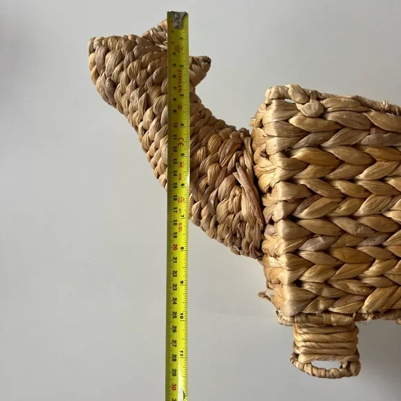 Woven Dinosaur Basket - Nursery Decor of Plant Holder - Picture 7 of 8